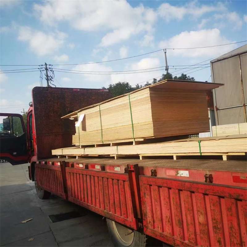 江西赣州兴国县至塔城货运专线，一站式物流服务助您成功